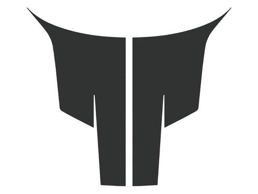 Dodge Challenger RT Hood Decal | Vinyl Graphics Kit Fits 2015-2020
