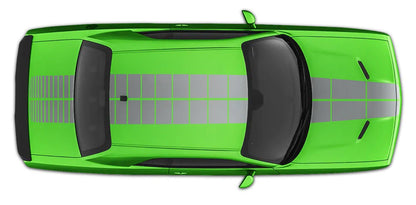 green car gray Puls Rally Full Body Stripe