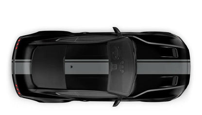 Ford Mustang (2005 to 2022) Custom Decals, Graphics and Stickers - Euro Full Body Racing Strips - Jkprostickers
